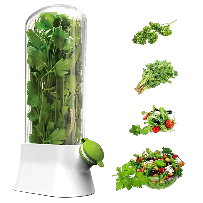 Premium fresh herb keeper and storage container for the refrigerator on Spotngrab Lebanon.