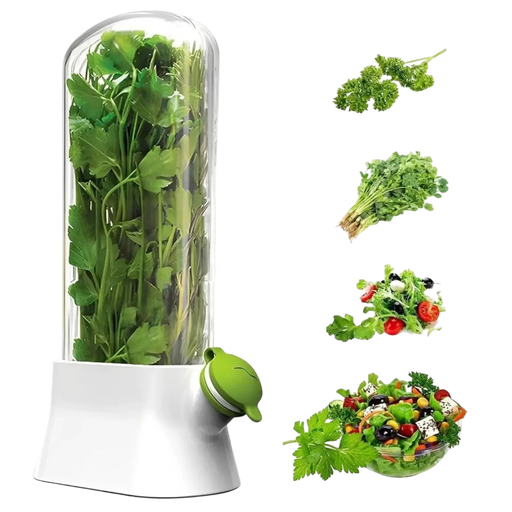 Premium fresh herb keeper and storage container for the refrigerator on Spotngrab Lebanon.