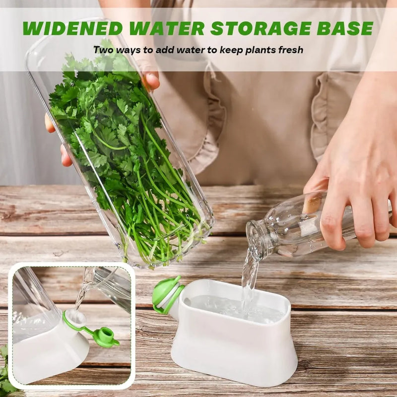 Close-up of the removable inner basket and water reservoir port of a BPA-free herb savor bottle.